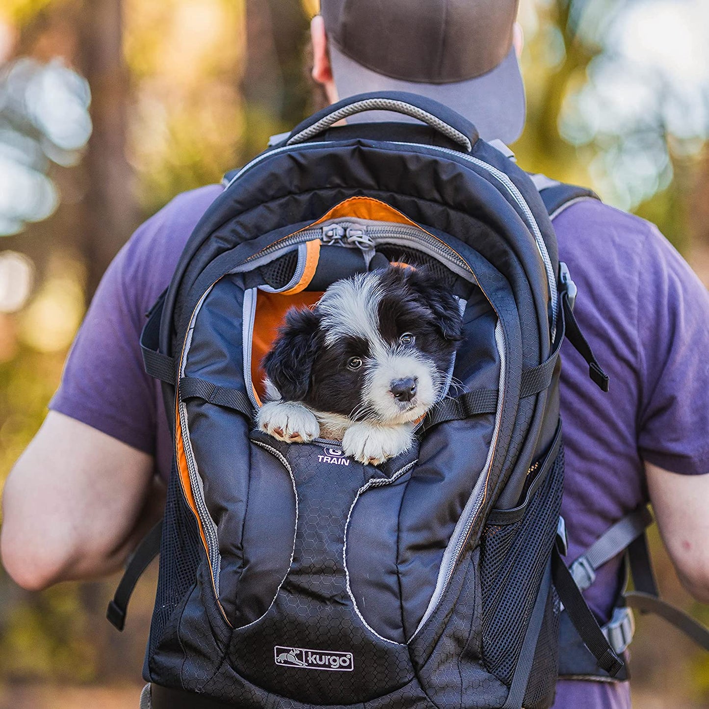 G-Train Dog Carrier Backpack - Comfortable Travel Bag for Pets up to 25 Lbs - Waterproof Bottom - Multi-Compartment Pack - Dog Hiking Gear - Rugged Adventure Backpack - Navy Blue