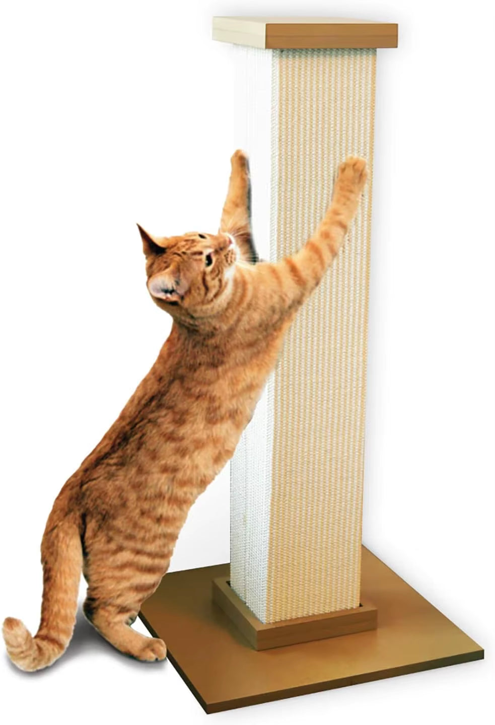 Beige Cat Scratching Post for Indoor Pets