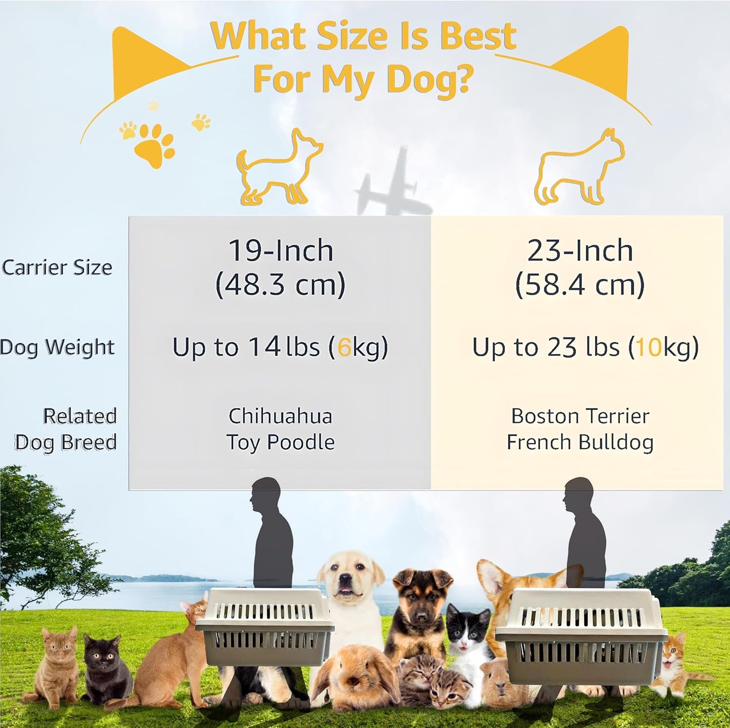 Llgj-Pets Spree Travel Pet Carrier Dog/Cat Hard-Sided Carriers for Pets up to 14 Pounds Small Animal Carrier Airline/Road Travel Approved Stout (Orang)