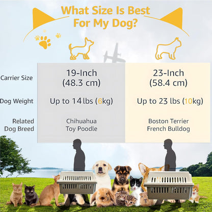 Llgj-Pets Spree Travel Pet Carrier Dog/Cat Hard-Sided Carriers for Pets up to 14 Pounds Small Animal Carrier Airline/Road Travel Approved Stout (Orang)