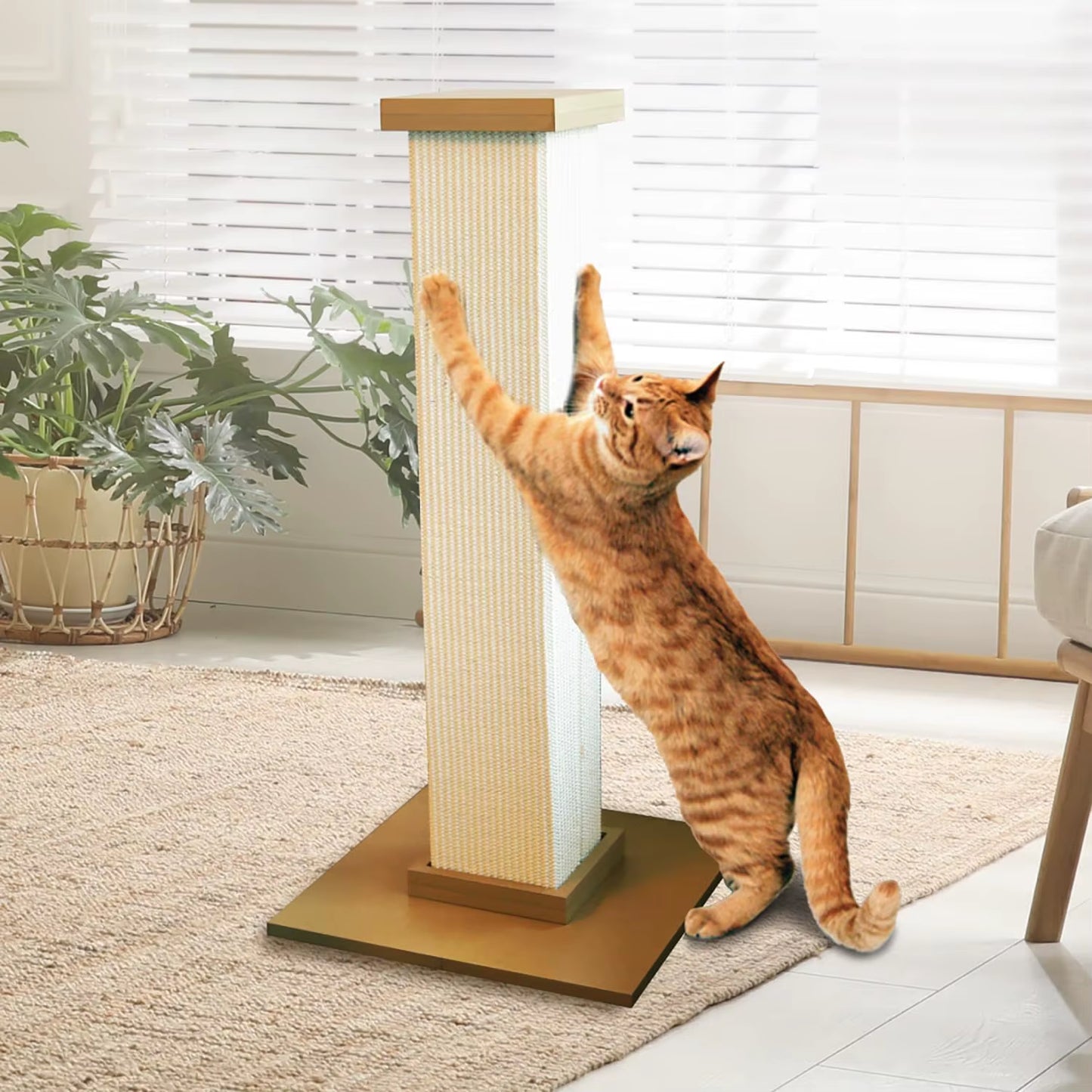 Beige Cat Scratching Post for Indoor Pets