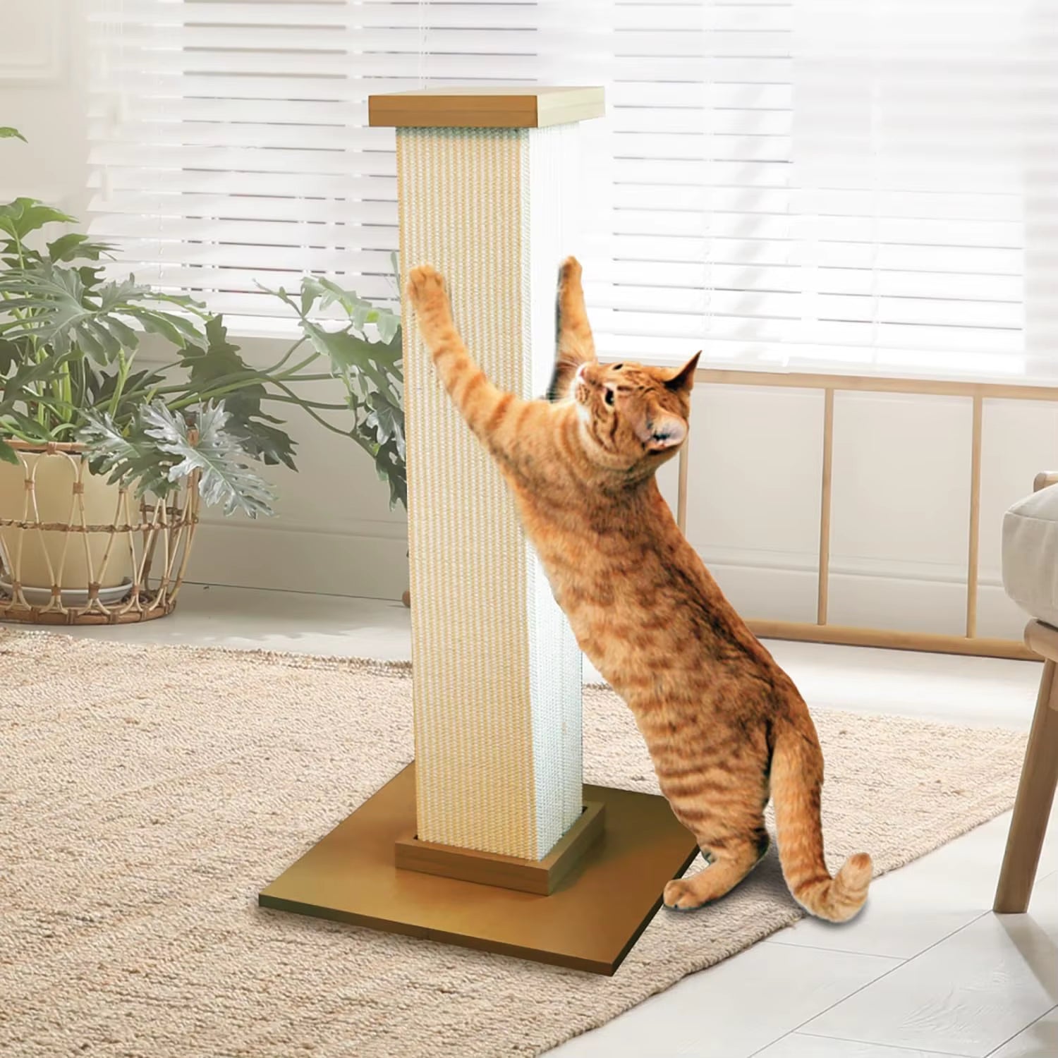 Beige Cat Scratching Post for Indoor Pets