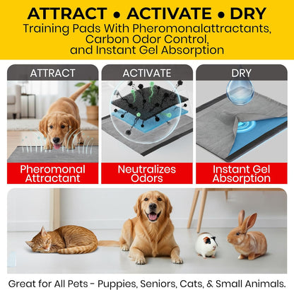 SKAFFLES FFP8654ST  100 Count Pets Activated Carbon Training Pads